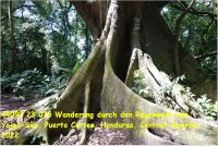 44092 23 075 Wanderung durch den Regenwald zum Yojoa-See, Puerto Cortes, Honduras, Central-Amerika 2022.jpg